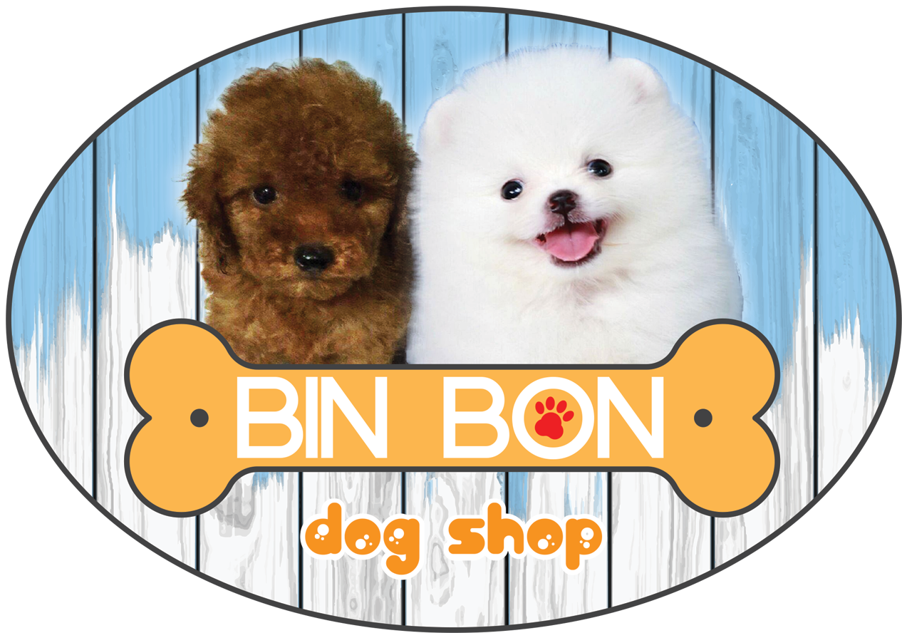 Bin bon dog shop