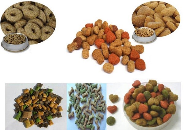 Các loại thức ăn khô phổ biến cho chó cưng