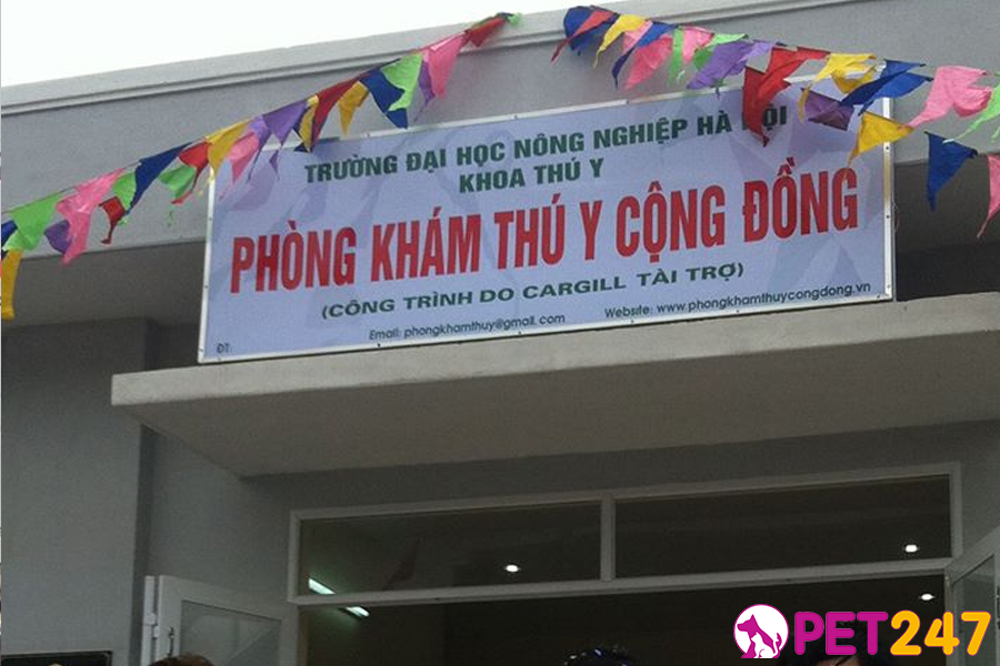 Phong kham thu y cong dong
