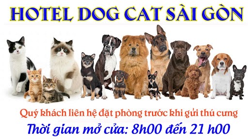 Hotel dog cat Sài Gòn được nhiều khách hàng đánh giá cao với chế độ chăm sóc khoa học, tận tình